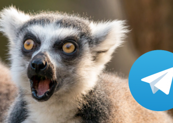 ช็อกอย่างแรง❗ หลังมีการถูกหลอกให้ซื้อเหรียญ สูญเงินมูลค่าไม่น้อยกว่า 2 ล้านเหรียญสหรัฐ