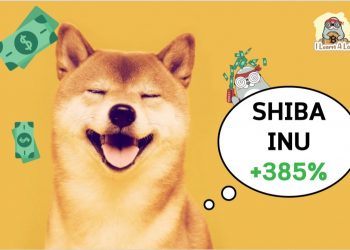 โฮ่งๆๆ Shiba is coming 🐶 🐶