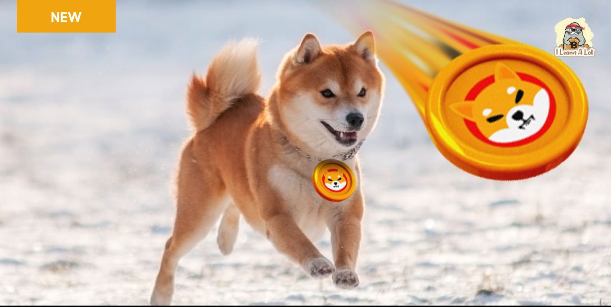 Meme Coins ยังได้ไปต่อ Shiba Inu พุ่งรวด 16% หลังจากข่าวลือการลิสต์บน Robinhood
