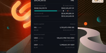 เกิดอะไรขึ้นกับ Solend ? วาฬตัวใหญ่ที่จะถูก Liquidated