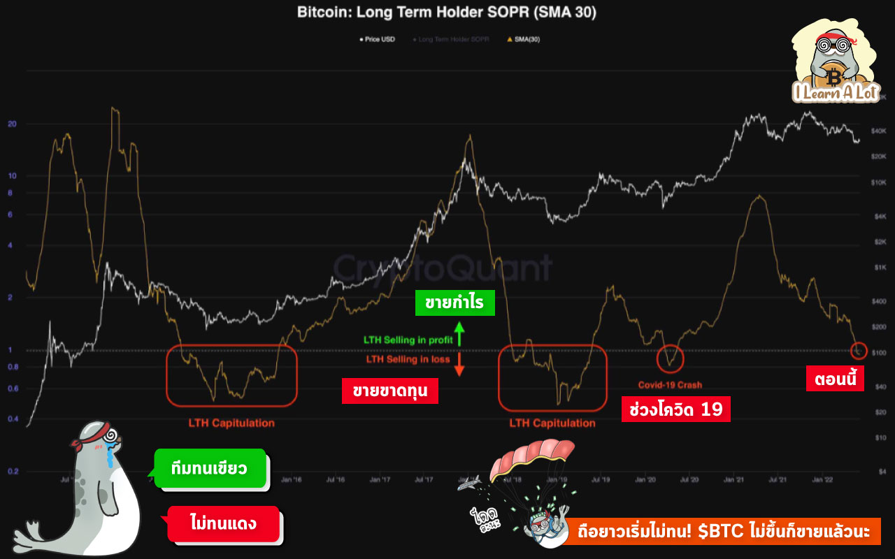 ถือยาวเริ่มไม่ทน! $BTC ไม่ขึ้นก็ขายแล้วนะ
