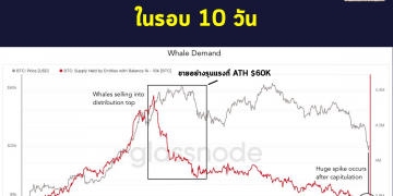 Bitcoin แตะจุดสูงสุดในรอบ 10 วัน เกิดแรงซื้ออย่างมหาศาลที่ราคาต่ำกว่า $20,000