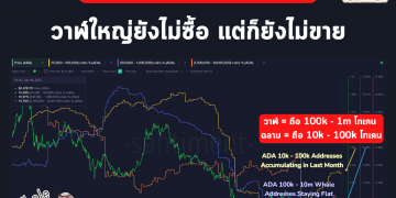 ซื้อก่อนรออัปเกรด! ฉลาม ADA ซื้อเพิ่มแล้ว 37.7 ล้านดอลลาร์สหรัฐฯ